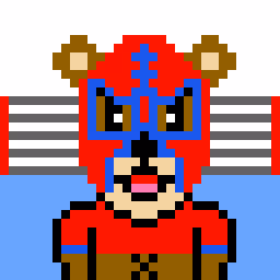 MASKED BEAR FIGHTER - old