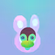The Masked Rabbit