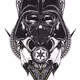 Masked_Faces