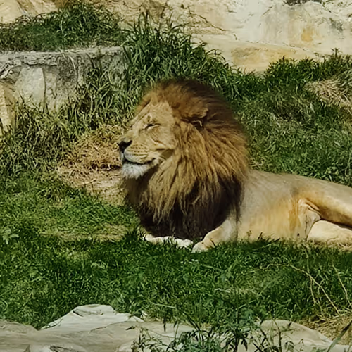 Mastering the Universe - old