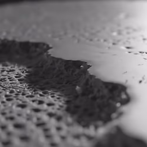 Material Testimony: Microscopic Truths