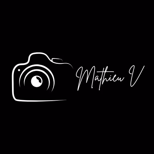 Mathieu V