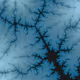 MATIC Fractals