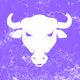 maurice the unlucky bull