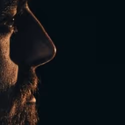 항목 미디어 플레이스홀더