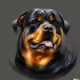 Maya (The Rottweiler)