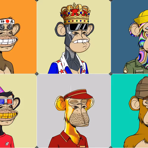 Maymunlar(Monkeys)
