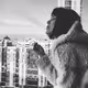 Mayra's world - old