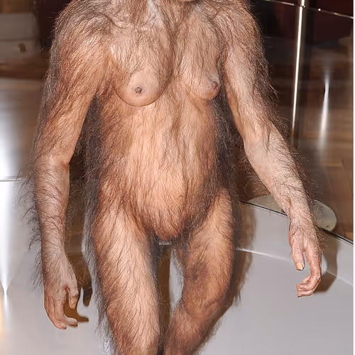 History of Human Monkey Evolution Series