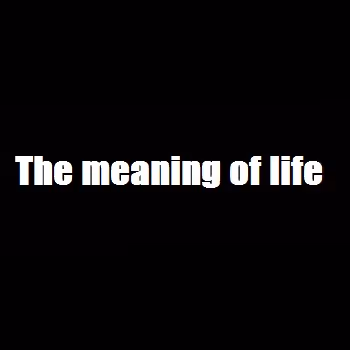 The meaning_of life