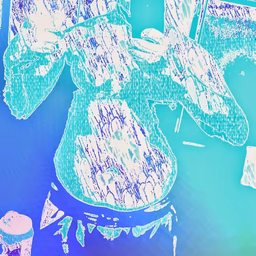 meat of the artist - old