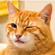 558