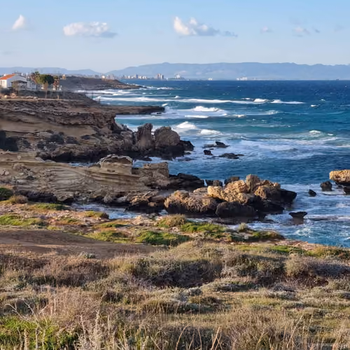 Med Sea Snaps