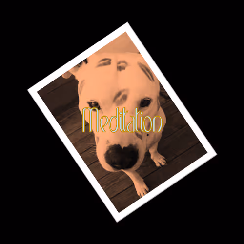 Meditation ------> Charity Sell