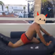 Meesh's Memes