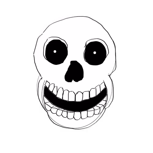 Meet The Skulls
