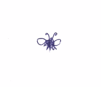 Meeting Notes - Bugs