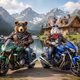 Mega Biker