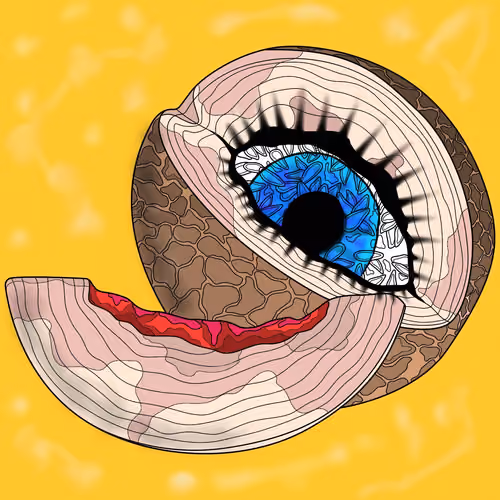 Melon Eye