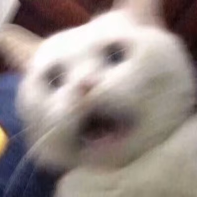 Memecats NFT - old