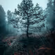 Memory of Trees