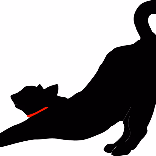 Memory cat