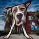 Men Best Friend