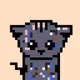 Meowify