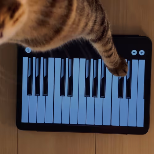 Meowsic