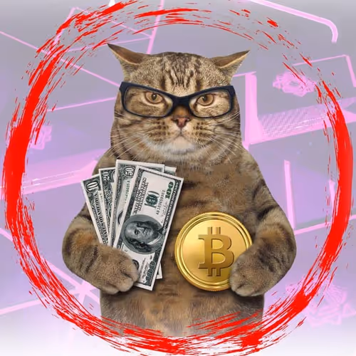 Meowwcash