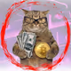 Meowwcash