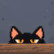 Meowz