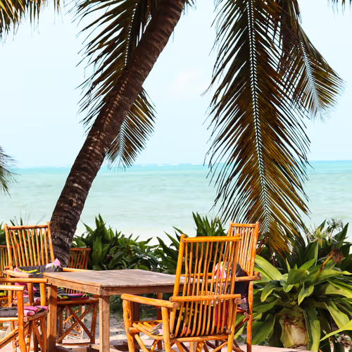 Mesmerizing Zanzibar