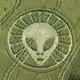 Meta Crop Circle