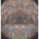 Meta Etchings