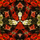 meta flowerz