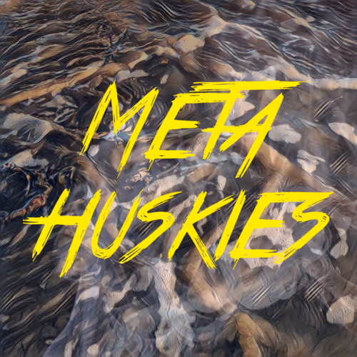 meta huskies