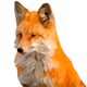 MetaMask Foxy NFT