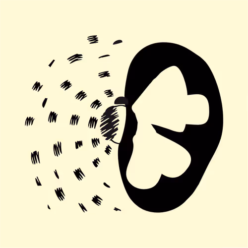 Metamorphosis Butterfly