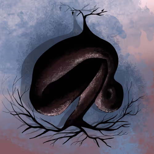 Meta Morphosis