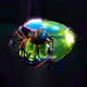 Metamorphosis Rings
