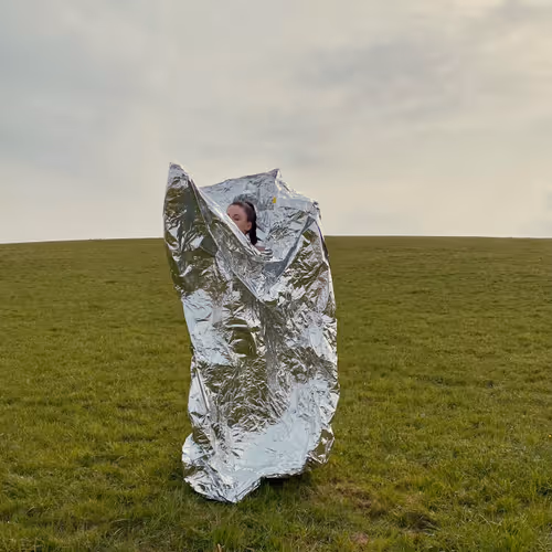 ALIGNMENT by Mia Bregar - old