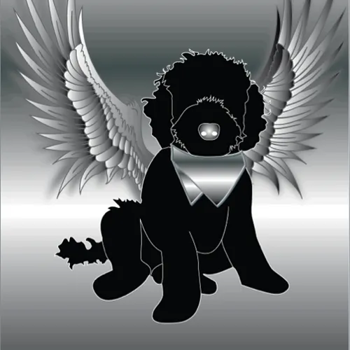 MetaOodles Collection