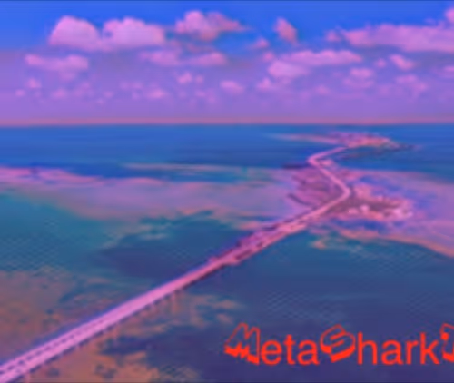 MetaSharkTank
