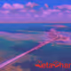 MetaSharkTank