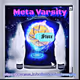 Metavarsity Store