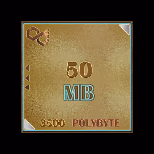 METAVERSE POLYBYTE