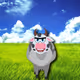 Metaverse Cow