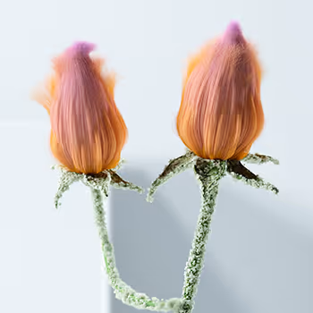 METAVERSE'S GARDEN - old