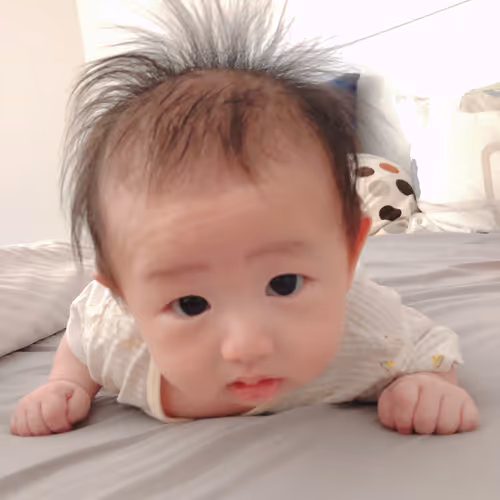 MetaXavier - old - old